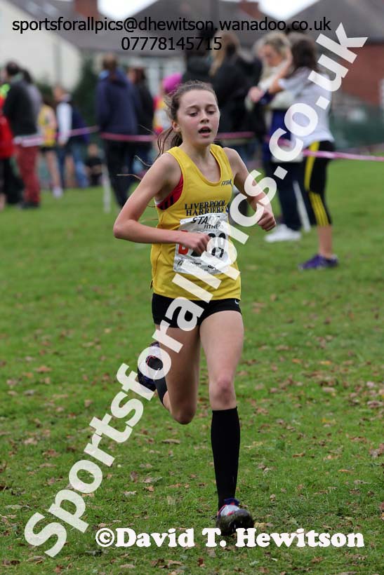 Under-15 girls Northern Cross Country Relays. Photo: David T. Hewitson/Sports for All Pics